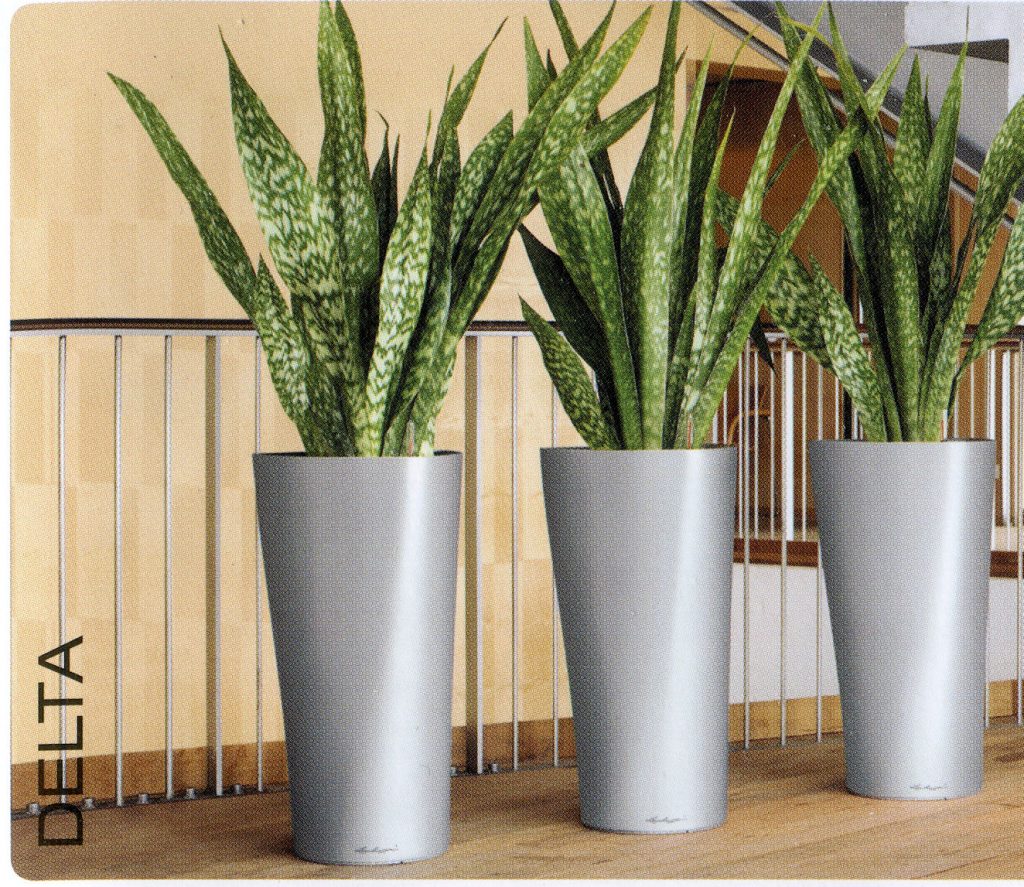 Delta planter